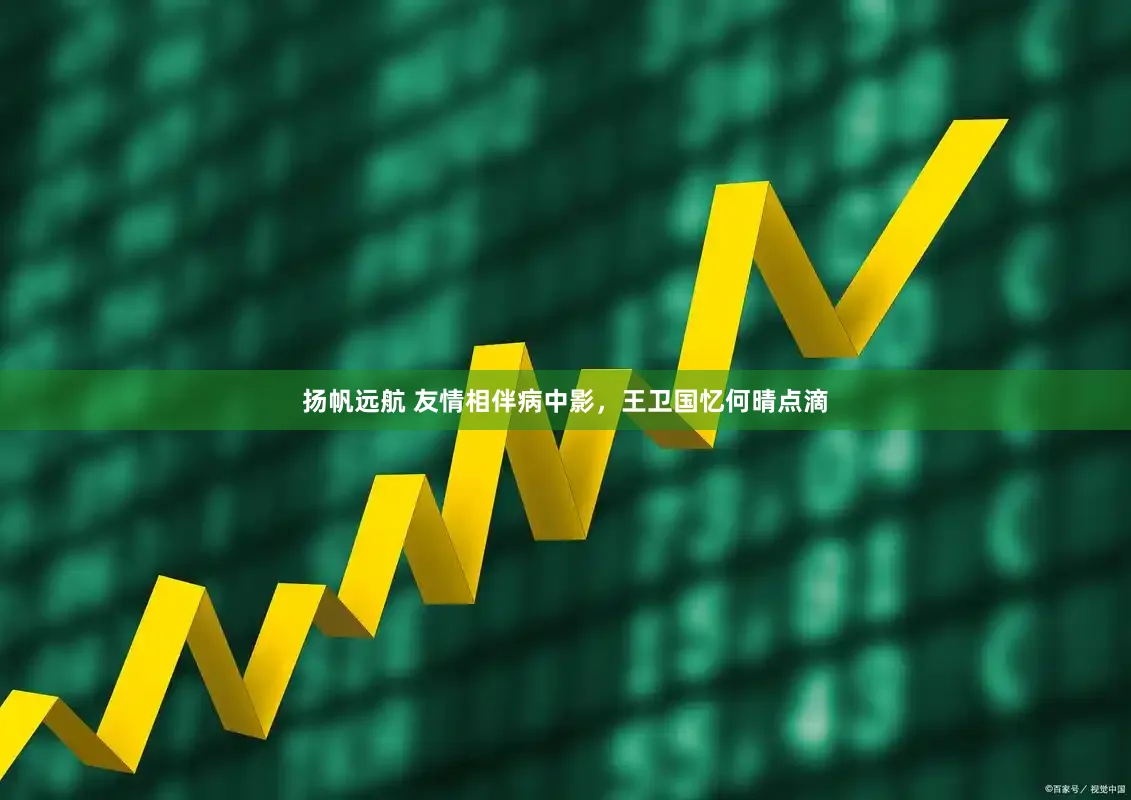 扬帆远航 友情相伴病中影，王卫国忆何晴点滴