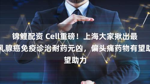 锦鲤配资 Cell重磅！上海大家揪出最毒乳腺癌免疫诊治耐药元凶，偏头痛药物有望助力