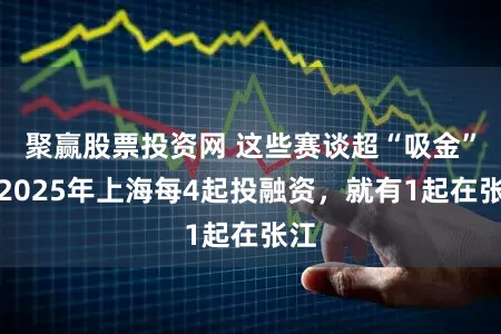 聚赢股票投资网 这些赛谈超“吸金”！2025年上海每4起投融资，就有1起在张江