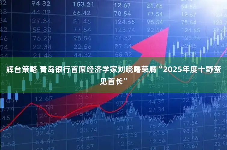 辉台策略 青岛银行首席经济学家刘晓曙荣膺“2025年度十野蛮见首长”