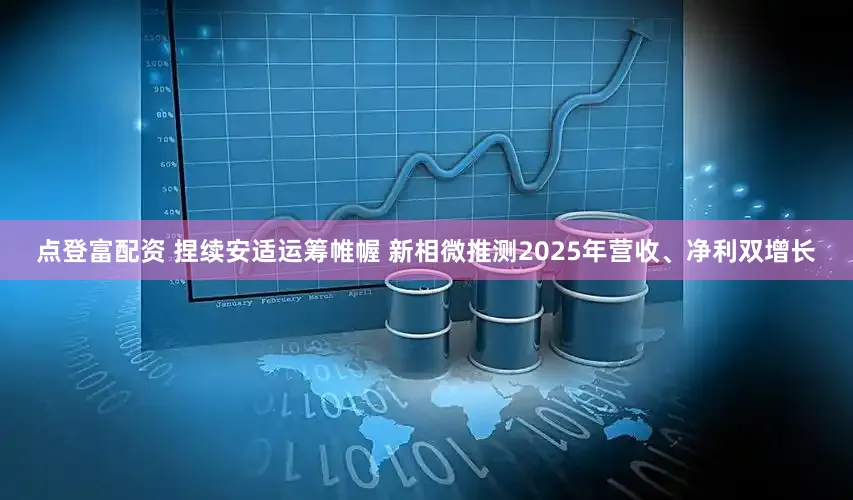 点登富配资 捏续安适运筹帷幄 新相微推测2025年营收、净利双增长
