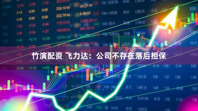 竹演配资 飞力达：公司不存在落后担保