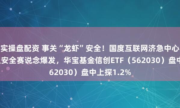 实操盘配资 事关“龙虾”安全！国度互联网济急中心领导！聚积安全赛说念爆发，华宝基金信创ETF（562030）盘中上探1.2%