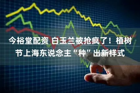 今裕堂配资 白玉兰被抢疯了！植树节上海东说念主“种”出新样式