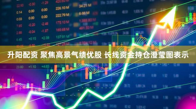 升阳配资 聚焦高景气绩优股 长线资金持仓澄莹图表示