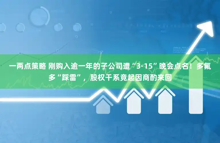 一两点策略 刚购入逾一年的子公司遭“3·15”晚会点名！多氟多“踩雷”，股权干系竟起因商酌来回