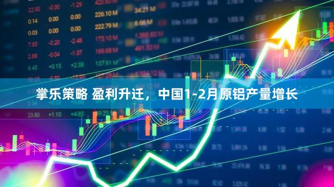 掌乐策略 盈利升迁，中国1-2月原铝产量增长