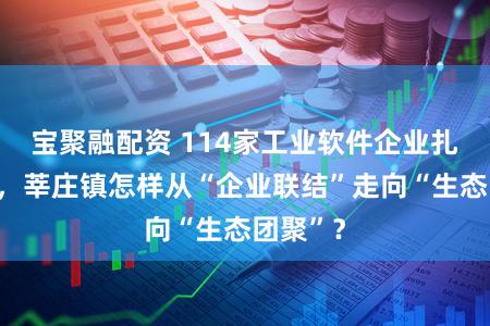 宝聚融配资 114家工业软件企业扎堆成势，莘庄镇怎样从“企业联结”走向“生态团聚”？