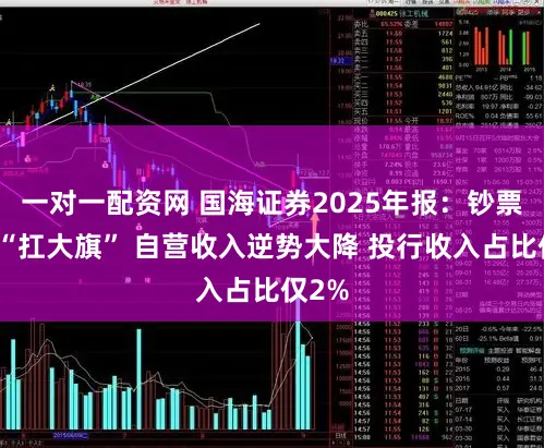 一对一配资网 国海证券2025年报:钞票科罚“扛大旗” 自营收入逆势大降 投行收入占比仅2%