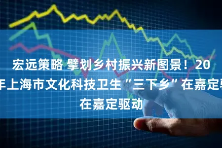 宏远策略 擘划乡村振兴新图景!2026年上海市文化科技卫生“三下乡”在嘉定驱动