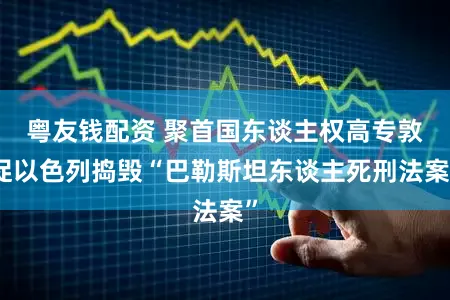 粤友钱配资 聚首国东谈主权高专敦促以色列捣毁“巴勒斯坦东谈主死刑法案”