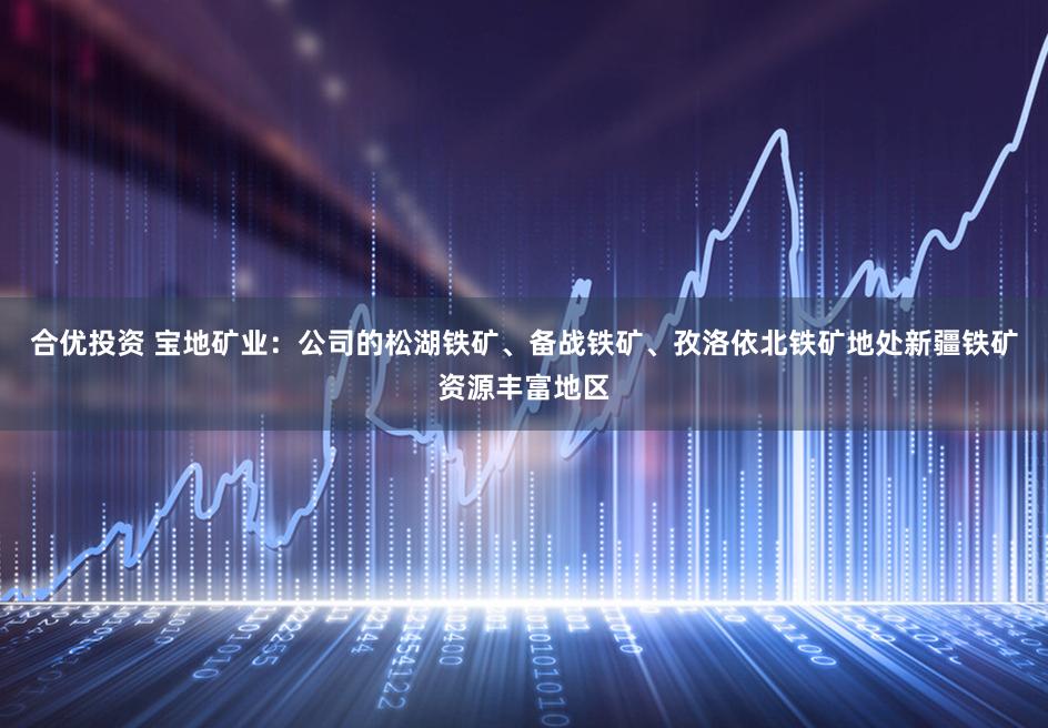 合优投资 宝地矿业:公司的松湖铁矿、备战铁矿、孜洛依北铁矿地处新疆铁矿资源丰富地区