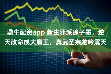 鼎牛配资app 新生邪派徐子墨，逆天改命成大魔王，真武圣宗龙吟震天