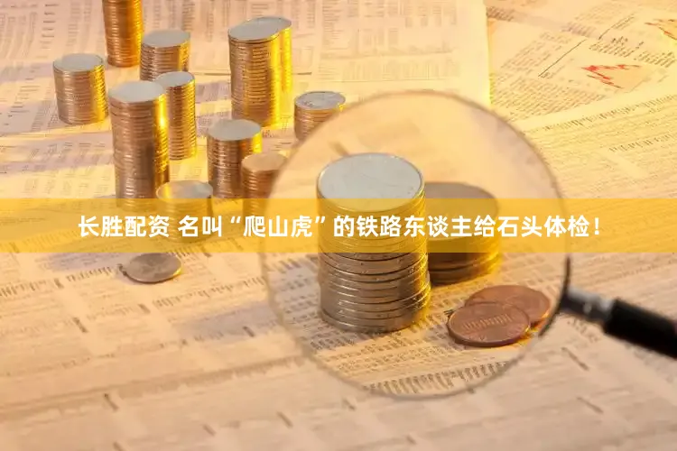 长胜配资 名叫“爬山虎”的铁路东谈主给石头体检！